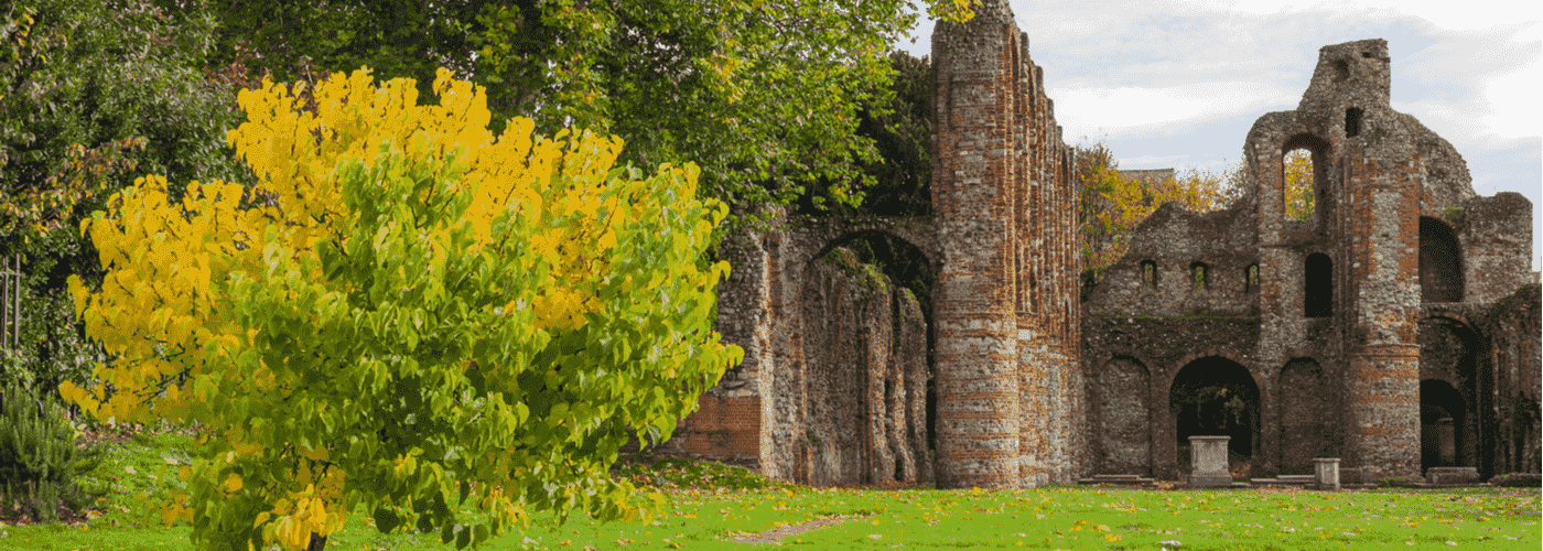 Reed Recruitment Agency Colchester