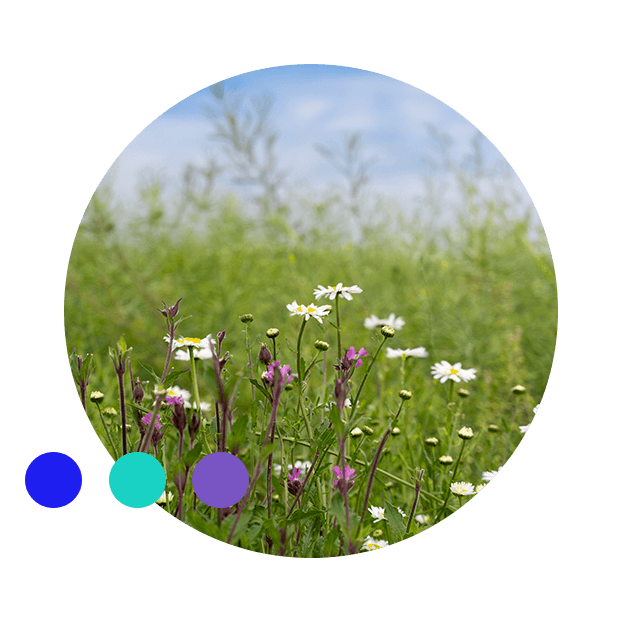 Caring for our planet image