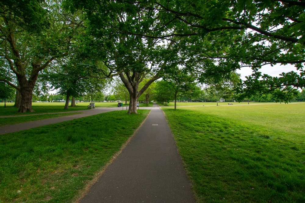 Reed Recruitment Agency Staines