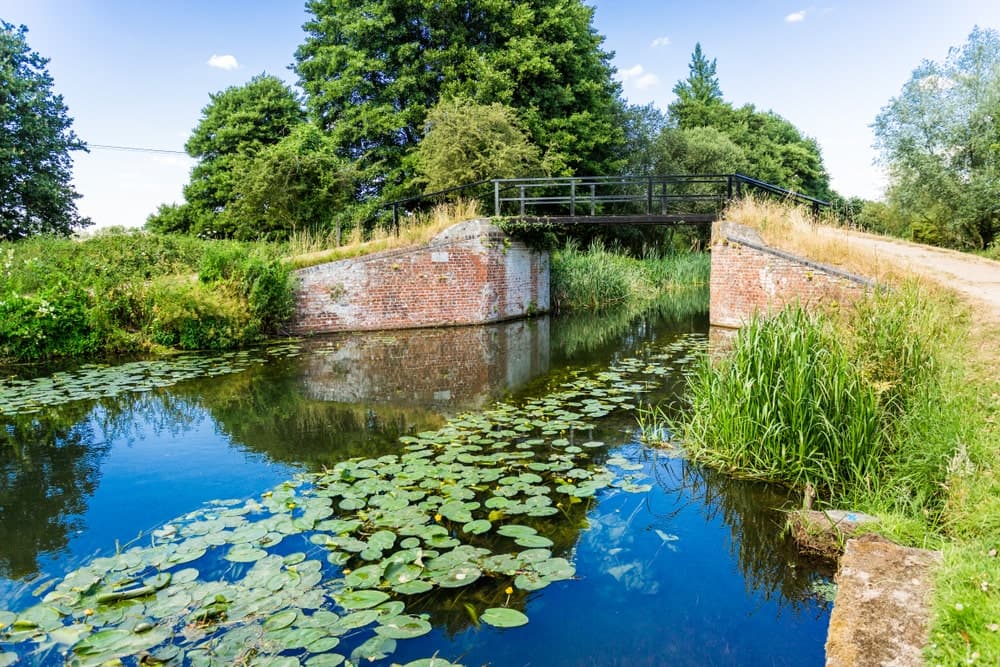 Reed Recruitment Agency Camberley